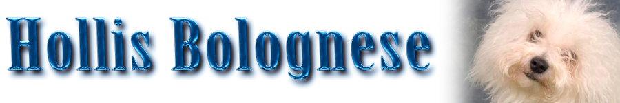 Hollis Bolognese